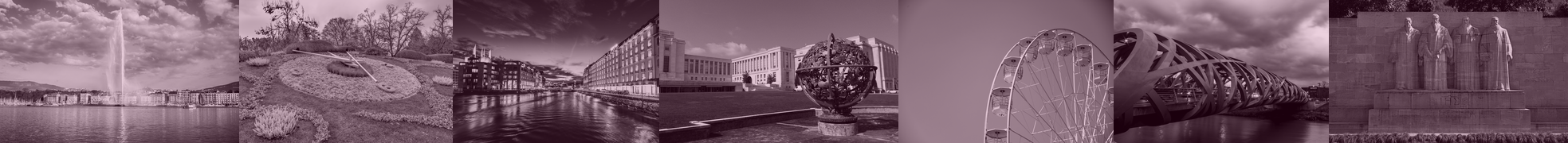 Geneva Cancer Registry